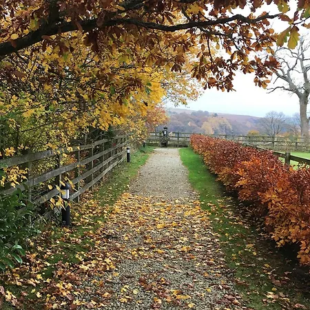 펜션 1 Bed In G0157 *