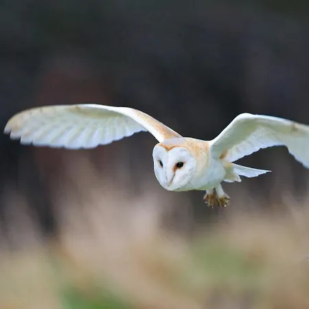 1 Bed In G0157 Holiday home